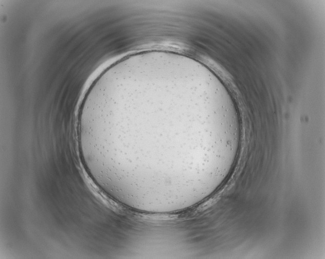 X0000086091200200704202208