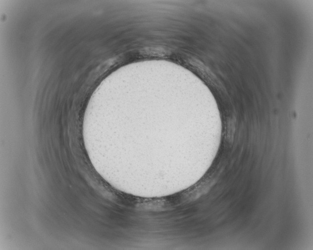 X0000086091201200704202207