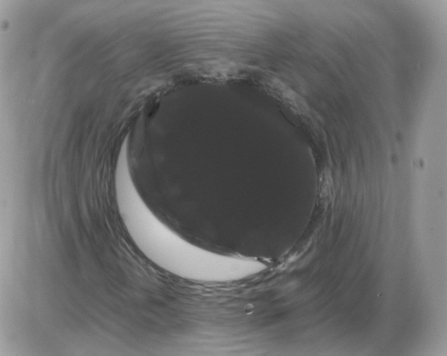 X0000086091202200704202207