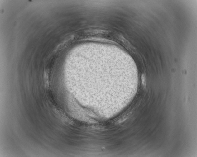 X0000086091203200704202207