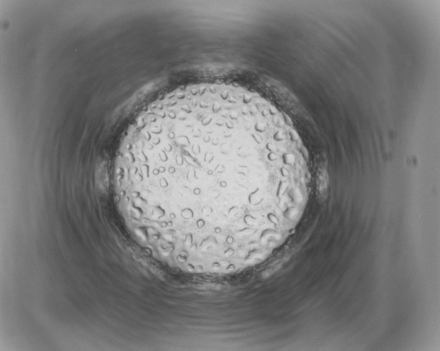 X0000086091204200704202207