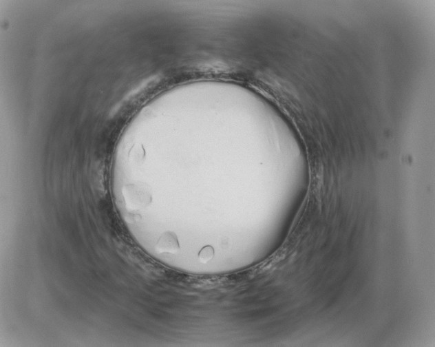 X0000086091205200704202207