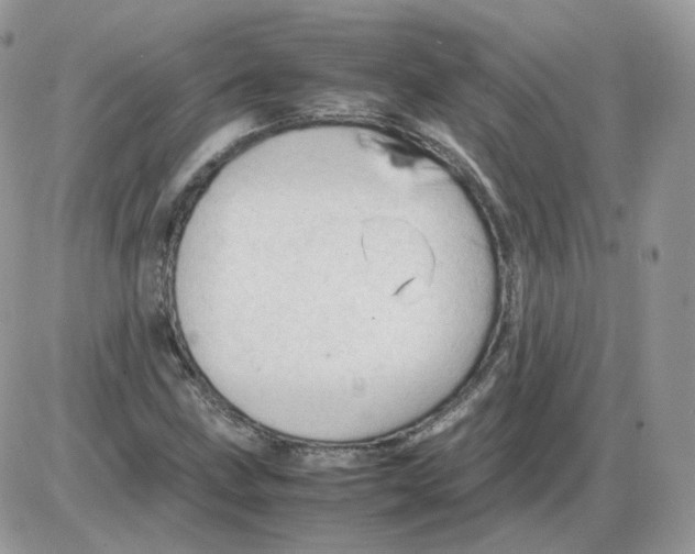 X0000086091211200704202208