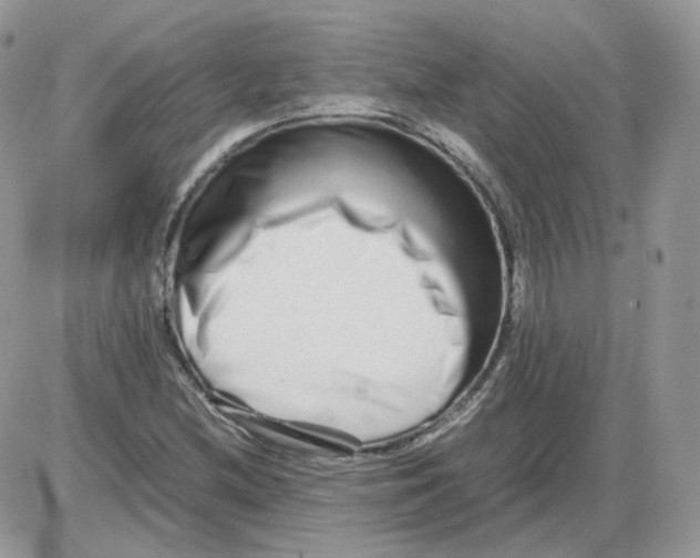 X0000086091212200704202208