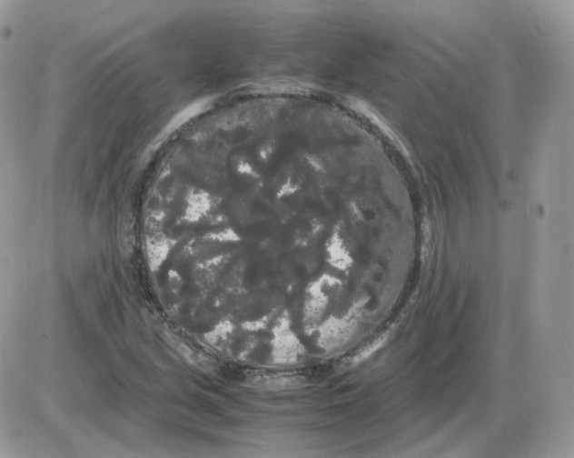 X0000086091213200704202208