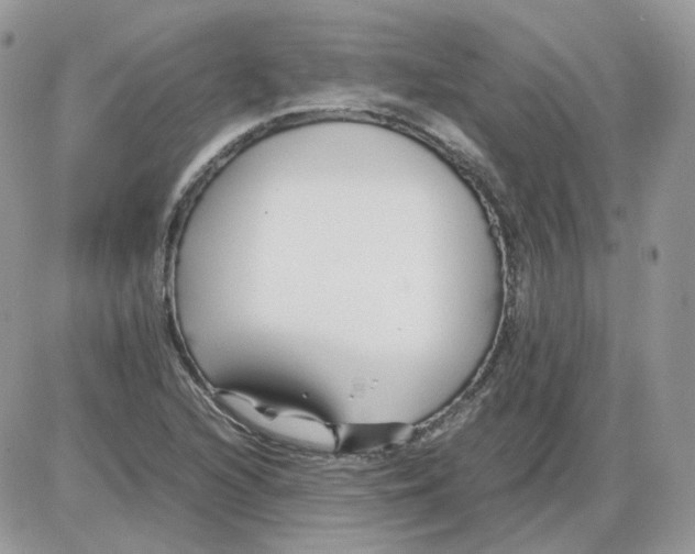 X0000086091216200704202208