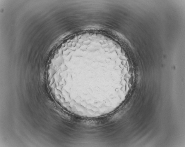 X0000086091217200704202208