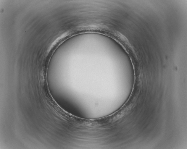 X0000086091218200704202208