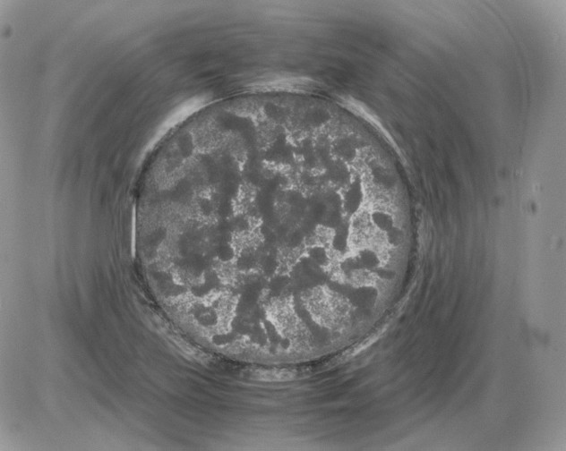 X0000086091219200704202208