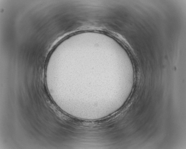 X0000086091220200704202208