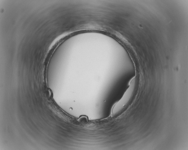 X0000086091222200704202208