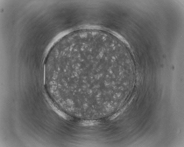 X0000086091223200704202208