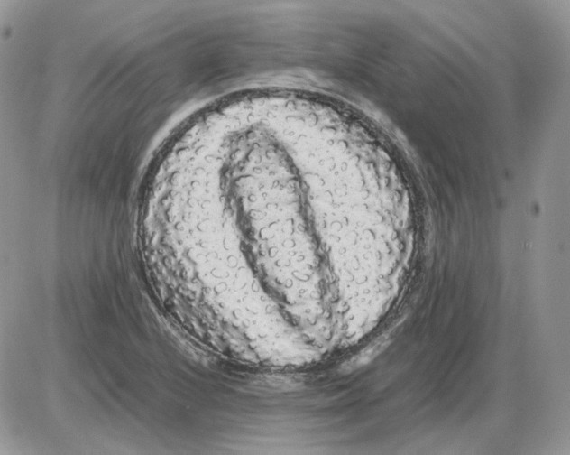 X0000086091224200704202208