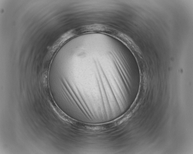 X0000086091225200704202208