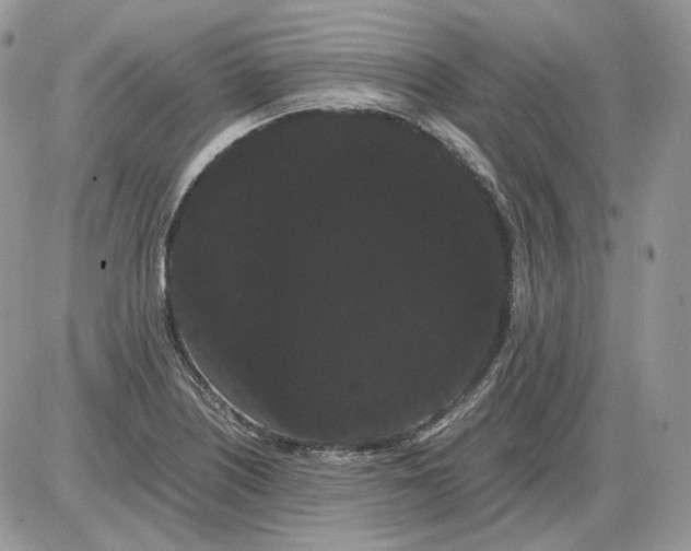 X0000086091226200704202208