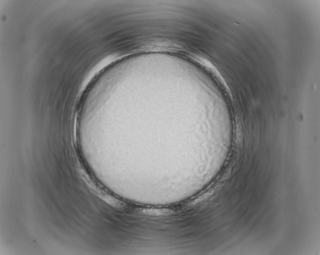 X0000086091227200704202208