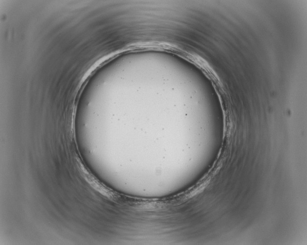 X0000086091228200704202208