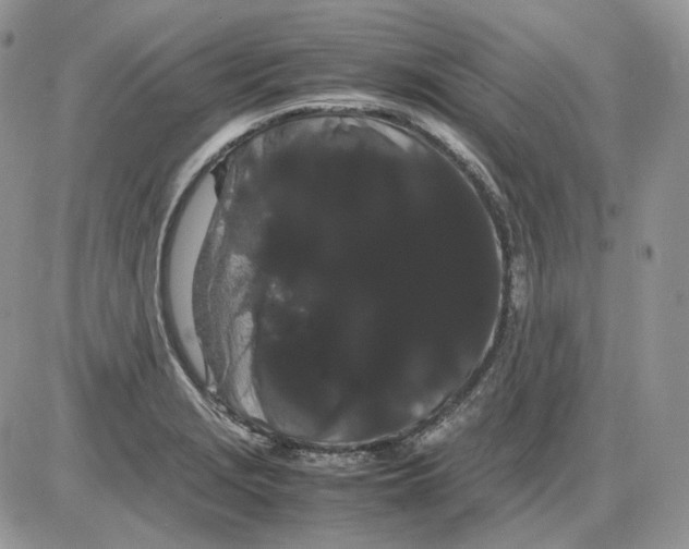 X0000086091229200704202208