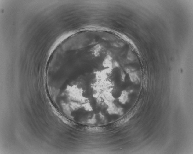 X0000086091231200704202208