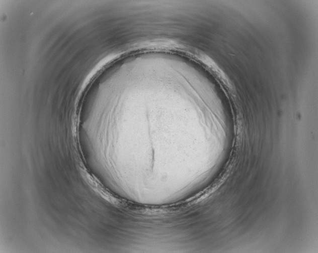 X0000086091232200704202208