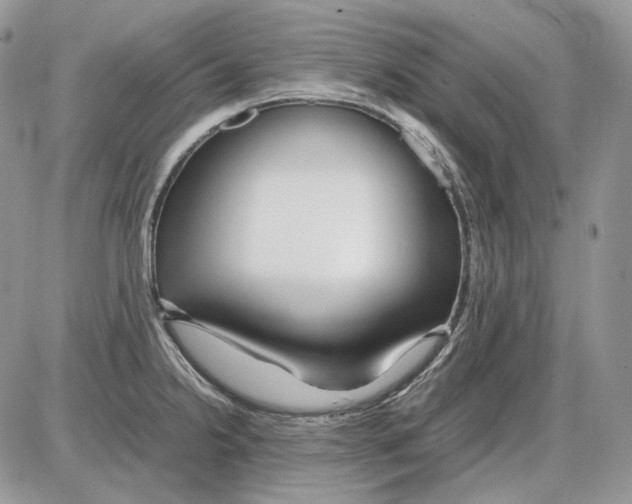 X0000086091238200704202208