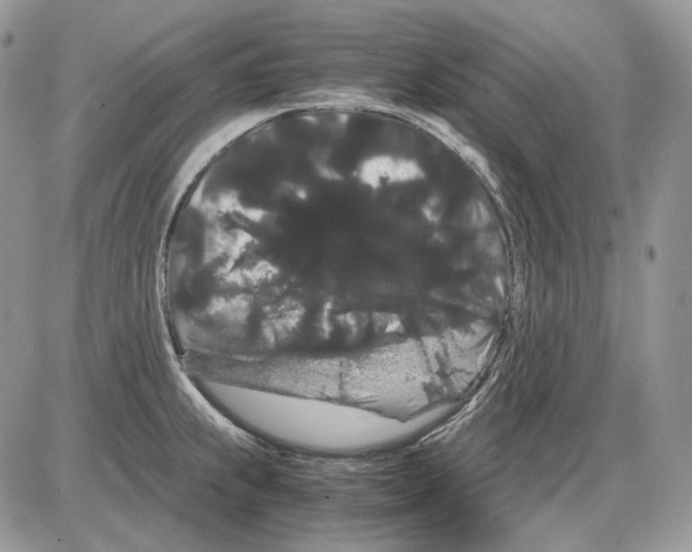 X0000086091239200704202208