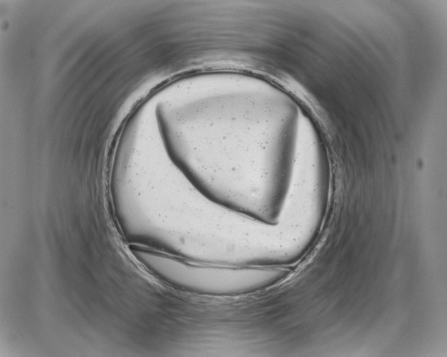 X0000086091240200704202208