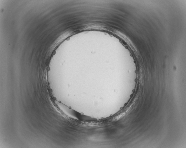 X0000086091241200704202208