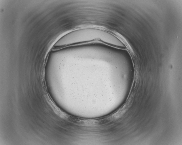 X0000086091244200704202208