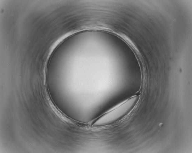 X0000086091246200704202208