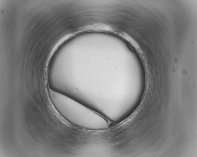 X0000086091248200704202208