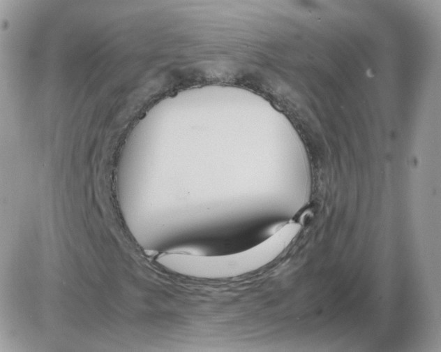 X0000086091249200704202207