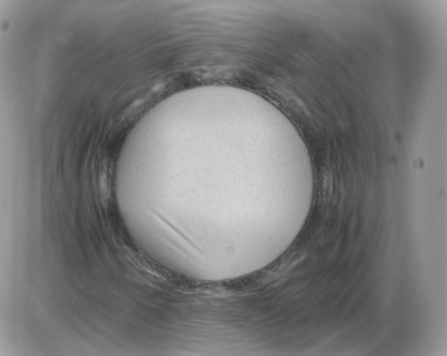 X0000086091250200704202207