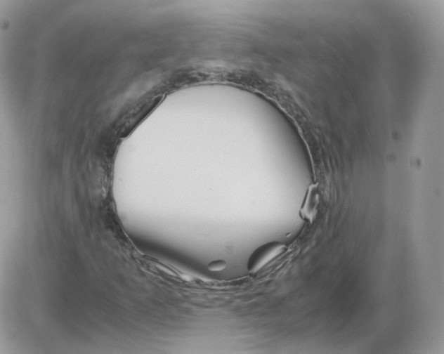 X0000086091253200704202207