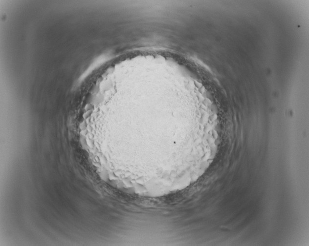 X0000086091255200704202207