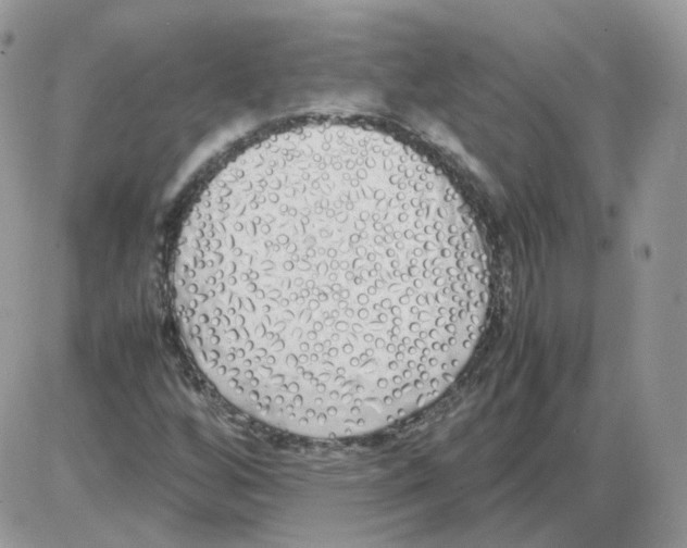 X0000086091256200704202207