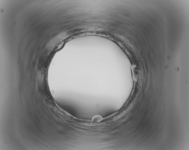 X0000086091257200704202207