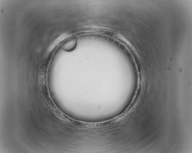 X0000086091259200704202207