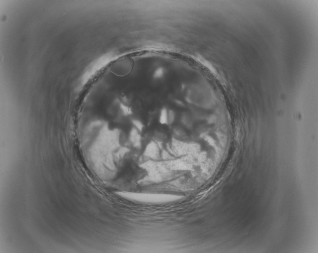 X0000086091263200704202207