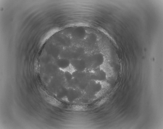 X0000086091266200704202207