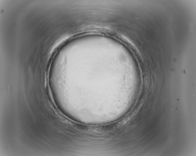 X0000086091267200704202207