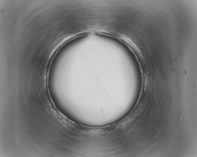 X0000086091268200704202207