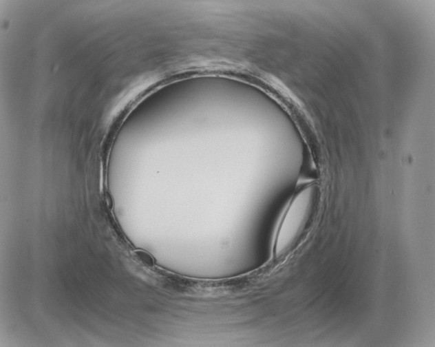 X0000086091269200704202207