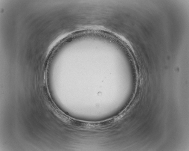 X0000086091271200704202207