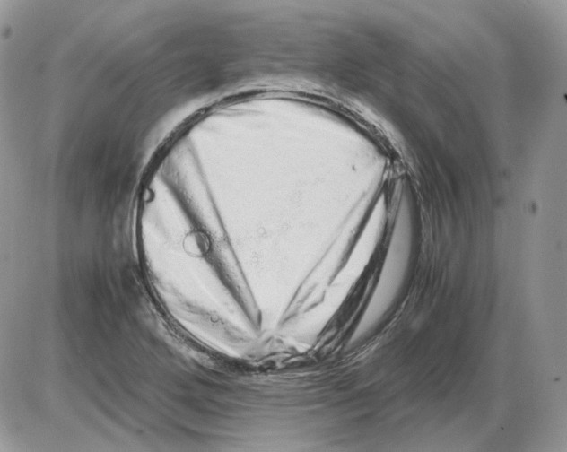 X0000086091272200704202207