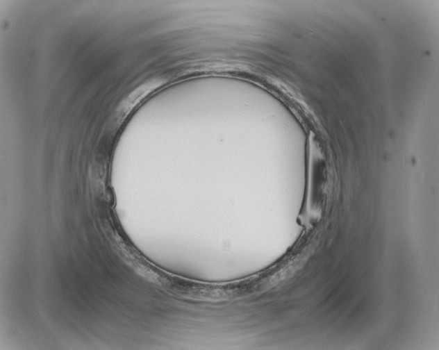 X0000086091273200704202207