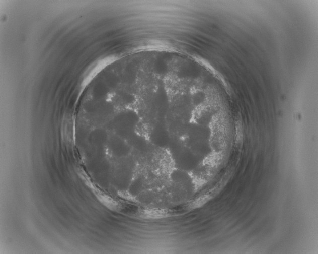 X0000086091274200704202207