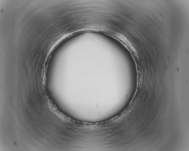 X0000086091276200704202207