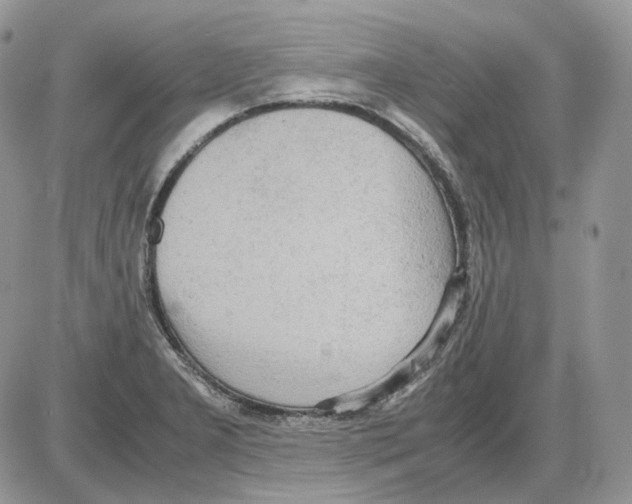 X0000086091277200704202207