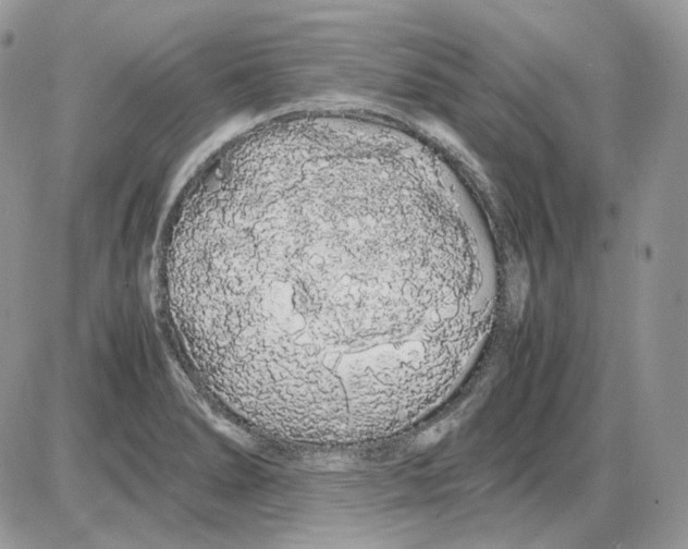 X0000086091278200704202207